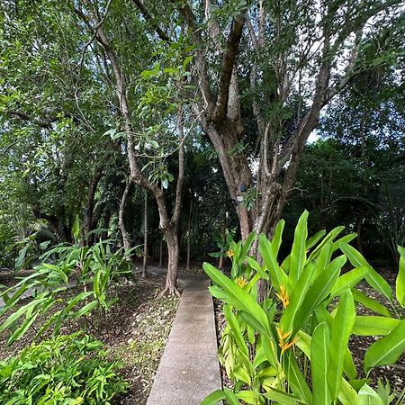 Gwada Reves Sainte-Anne (Grande-Terre) Exterior foto