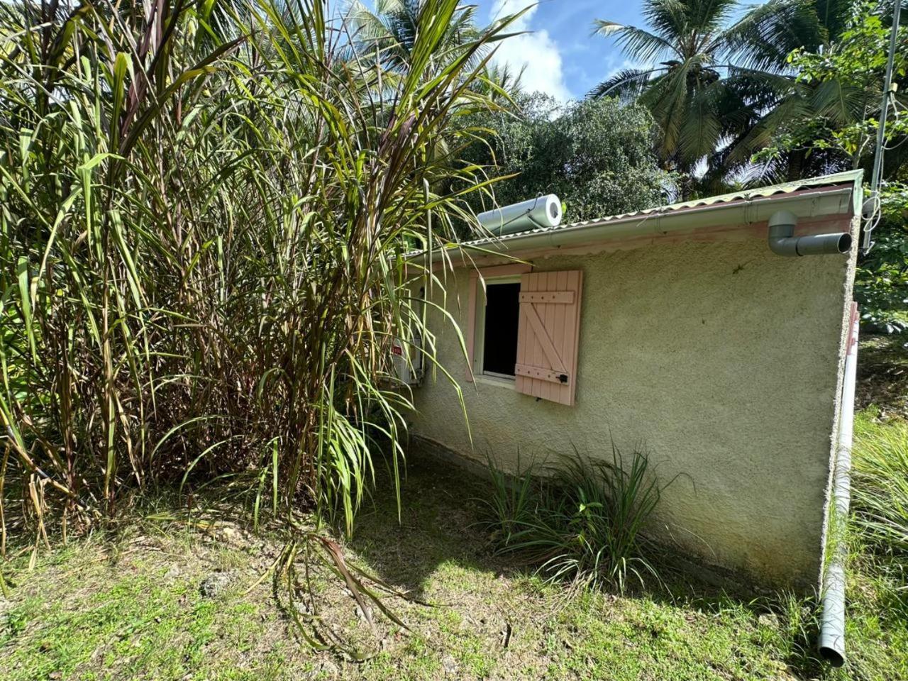 Gwada Reves Sainte-Anne (Grande-Terre) Exterior foto