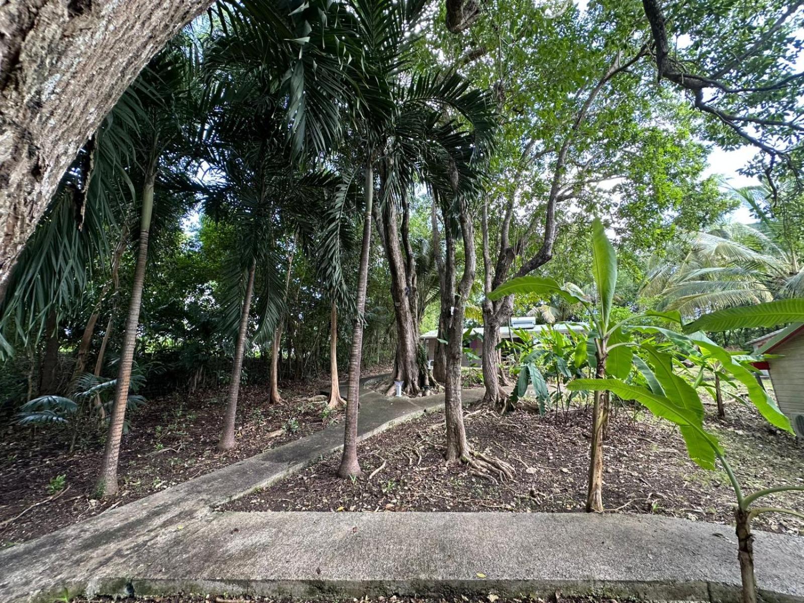 Gwada Reves Sainte-Anne (Grande-Terre) Exterior foto