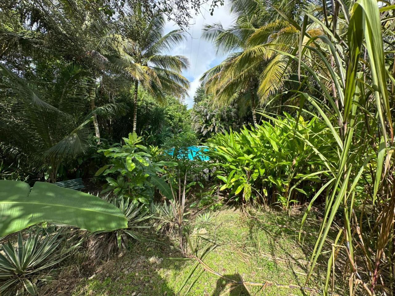 Gwada Reves Sainte-Anne (Grande-Terre) Exterior foto