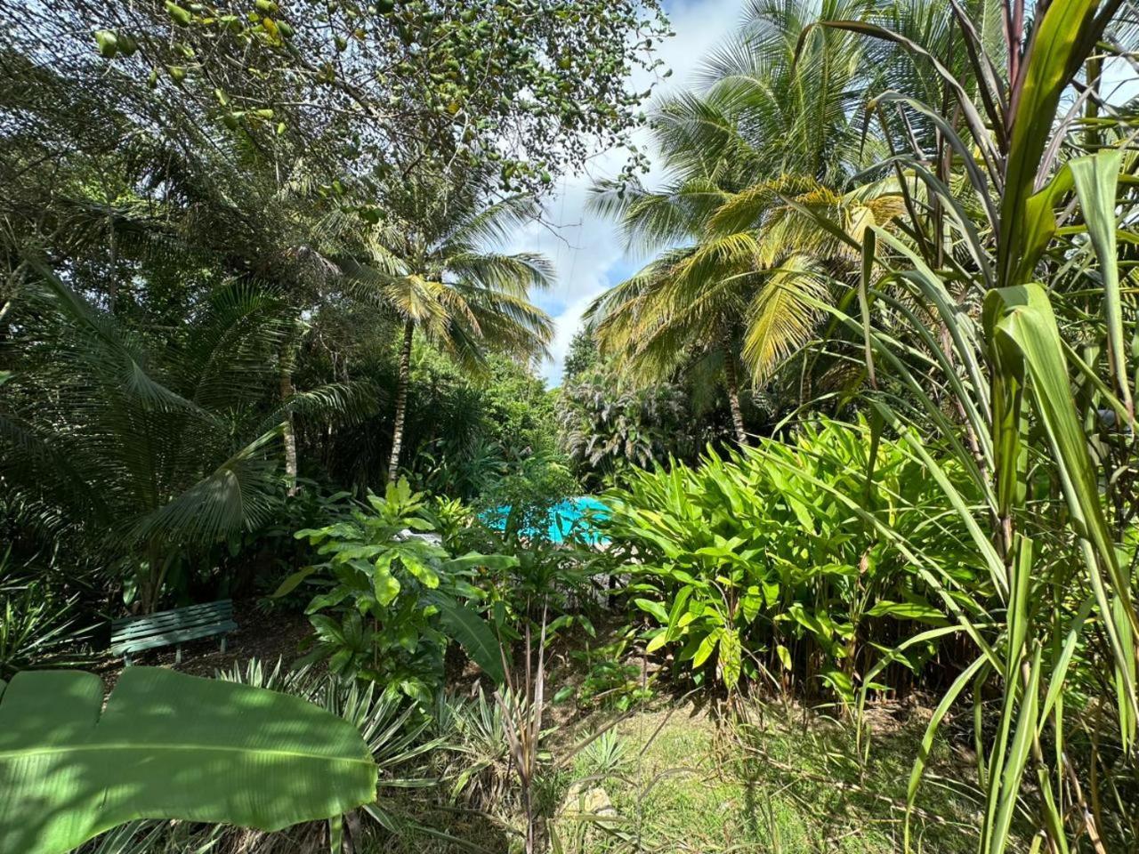 Gwada Reves Sainte-Anne (Grande-Terre) Exterior foto