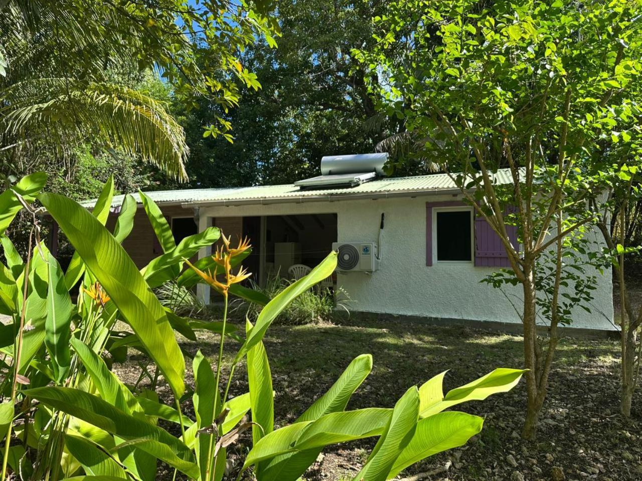 Gwada Reves Sainte-Anne (Grande-Terre) Exterior foto